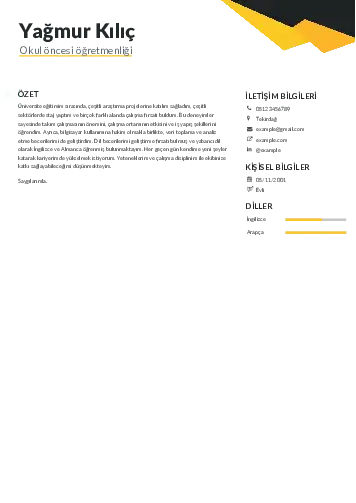 Okul Öncesi Öğretmeni Öğretmenliği Cv Örnekleri cv indir